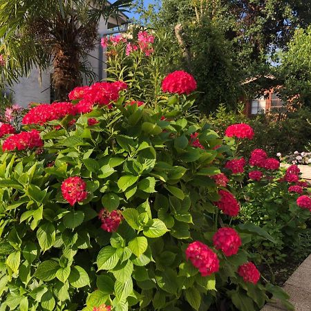 Casa Hortensia Njivice Εξωτερικό φωτογραφία